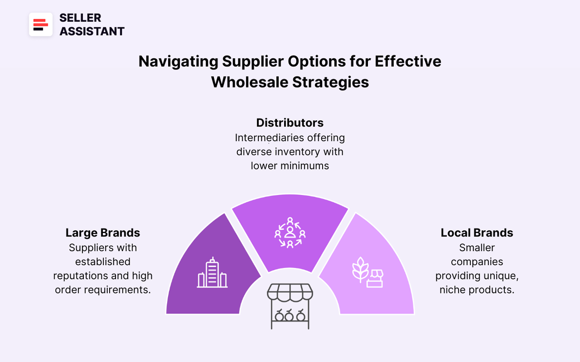 Infographic illustrating supplier options for effective wholesale strategies