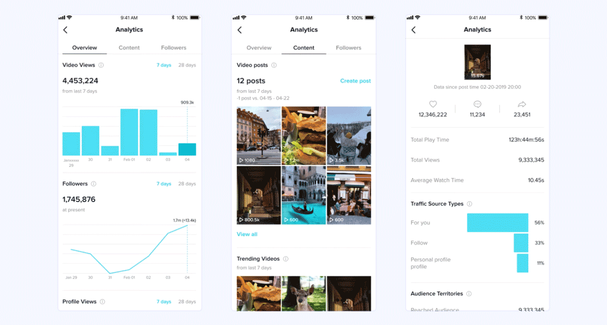 Graphs showing TikTok video and ad analytics