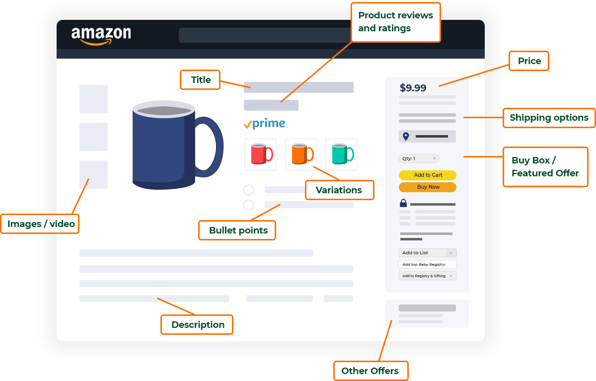Detailed illustration of Amazon listing