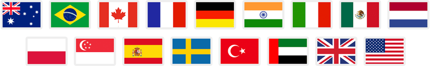 Sixteen flag icons that represent Amazon marketplaces supported by FeedbackFive