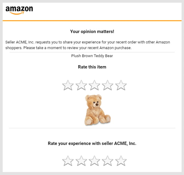 Amazon Request a Review message
