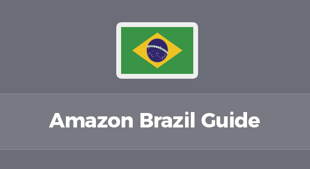 Brazil Guide: Understanding the Marketplace