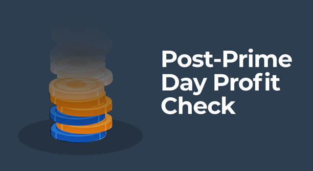 Illustration of a fading coin with the text "Post-Prime Day Profit Check"