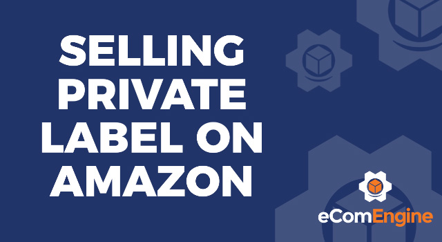 Blue background and eComEngine logo with text, "Selling Private Label on Amazon"